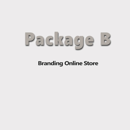 Picture of E-commerce Website-Professional Edition-Package B